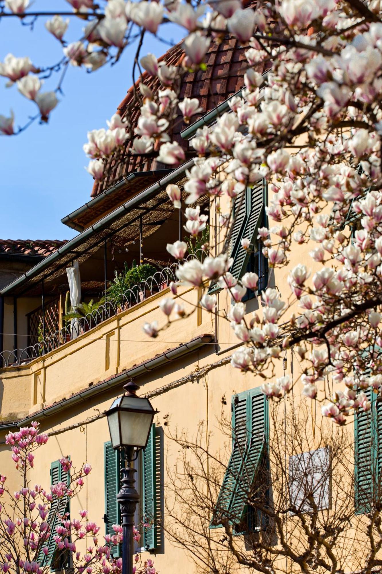 Casa San Girolamo Historic Flat With Cosy Terrace In Lucca'S City Centre Eksteriør bilde